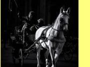 Attività / Licenza in vendita a Pontassieve FI