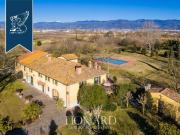 Attività / Licenza in vendita a Prato PO