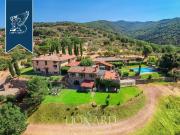 Attività / Licenza in vendita a Reggello FI