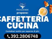 Attività / Licenza in vendita a Reggio Emilia RE