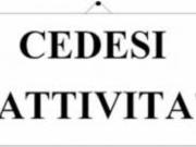 Attività / Licenza in vendita a Reggio Emilia RE