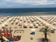 Attività / Licenza in vendita a Rimini RN