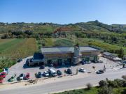 Attività / Licenza in vendita a Ripa Teatina CH