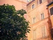 Attività / Licenza in vendita a Roma RM