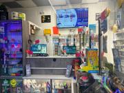 Attività / Licenza in vendita a Roma RM