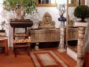 Attività / Licenza in vendita a Roma RM