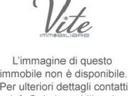 Attività / Licenza in vendita a Roma RM