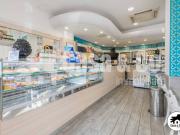 Attività / Licenza in vendita a Roma RM