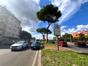 Attività / Licenza in vendita a Roma RM