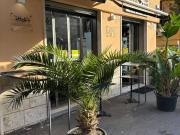 Attività / Licenza in vendita a Roma RM