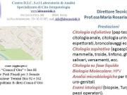 Attività / Licenza in vendita a Roma RM