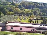 Attività / Licenza in vendita a Roma RM