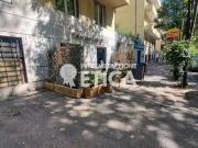 Attività / Licenza in vendita a Roma RM