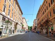 Attività / Licenza in vendita a Roma RM