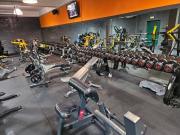 Attività / Licenza in vendita a Roma RM