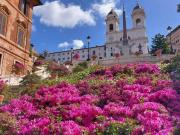 Attività / Licenza in vendita a Roma RM