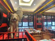 Attività / Licenza in vendita a Roma RM