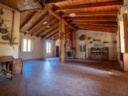 Attività / Licenza in vendita a Romana SS