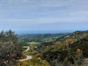 Attività / Licenza in vendita a San Casciano in Val di...