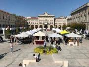 Attività / Licenza in vendita a San Donà di Piave VE
