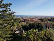 Attività / Licenza in vendita a San Gregorio di Catania CT