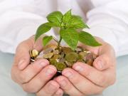 Attività / Licenza in vendita a San Miniato PI