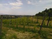 Attività / Licenza in vendita a San Miniato PI