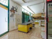 Attività / Licenza in vendita a San Pietro Viminario PD