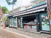 Attività / Licenza in vendita a Santa Marinella RM