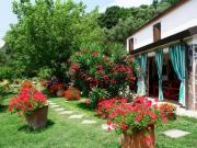 Attività / Licenza in vendita a Sarzana SP Attività / Licenza in vendita a Sarzana SP