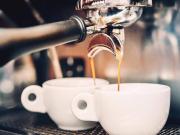 Attività / Licenza in vendita a Savona SV