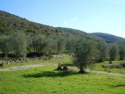 Attività / Licenza in vendita a Siena SI