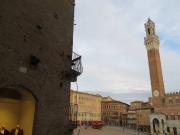 Attività / Licenza in vendita a Siena SI