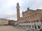 Attività / Licenza in vendita a Siena SI