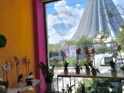 Attività / Licenza in vendita a Siracusa SR