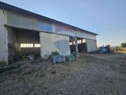 Attività / Licenza in vendita a Suvereto LI