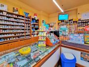 Attività / Licenza in vendita a Ticineto AL