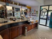 Attività / Licenza in vendita a Torino TO
