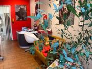 Attività / Licenza in vendita a Torino TO