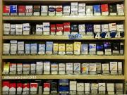 Attività / Licenza in vendita a Torino TO