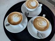 Attività / Licenza in vendita a Torino TO