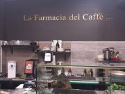 Attività / Licenza in vendita a Torino TO