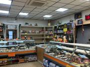 Attività / Licenza in vendita a Torino TO