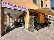 Attività / Licenza in vendita a Traversetolo PR