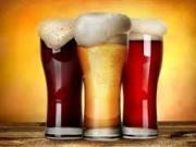 Attività / Licenza in vendita a Treviso TV