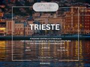 Attività / Licenza in vendita a Trieste TS