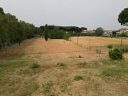 Attività / Licenza in vendita a Vecchiano PI