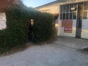 Attività / Licenza in vendita a Velletri RM