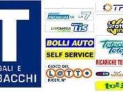 Attività / Licenza in vendita a Venaria Reale TO