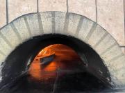 Attività / Licenza in vendita a Venezia VE